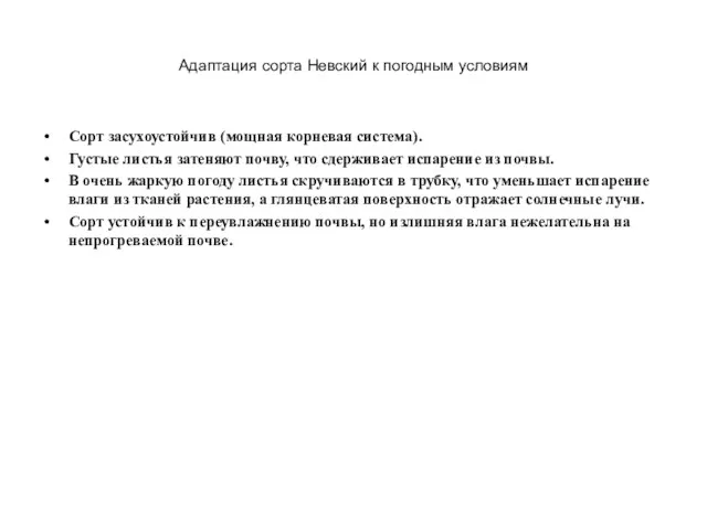 Адаптация сорта Невский к погодным условиям Сорт засухоустойчив (мощная корневая