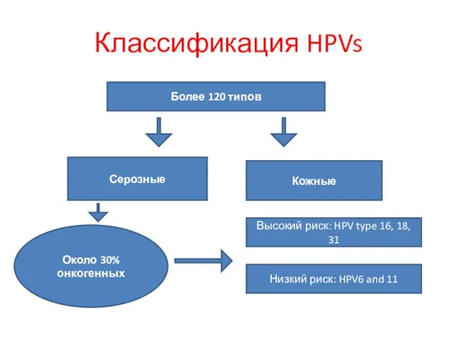 Классификация HPVs Более 120 типов Серозные Кожные Около 30% онкогенных Высокий риск: HPV