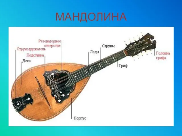 МАНДОЛИНА