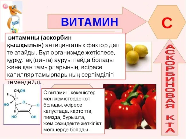 витамины (аскорбин қышқылын) антицингалық фактор деп те атайды. Бұл организмде