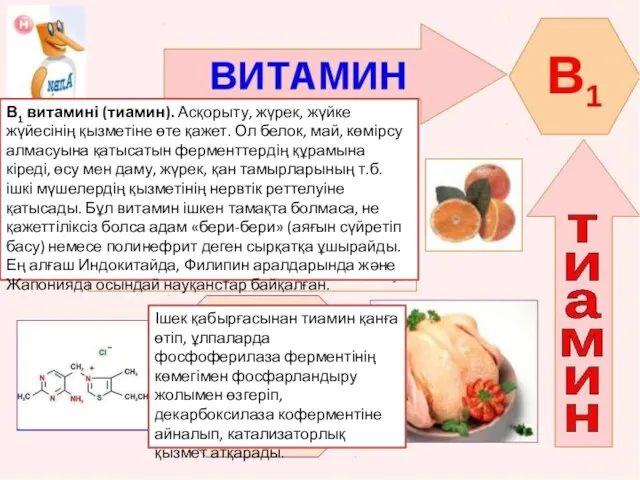 В1 витамині (тиамин). Асқорыту, жүрек, жүйке жүйесінің қызметіне өте қажет.