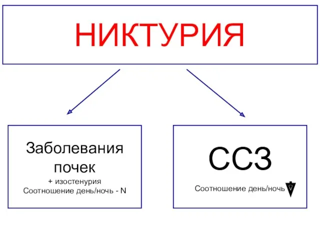 НИКТУРИЯ Заболевания почек + изостенурия Соотношение день/ночь - N ССЗ Соотношение день/ночь