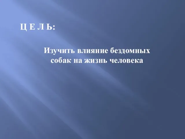 Ц Е Л Ь: Изучить влияние бездомных собак на жизнь человека