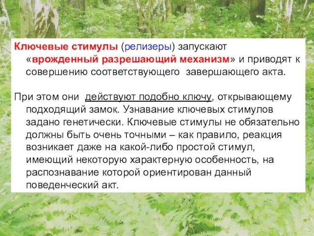 Ключевые стимулы (релизеры) запускают «врожденный разрешающий механизм» и приводят к