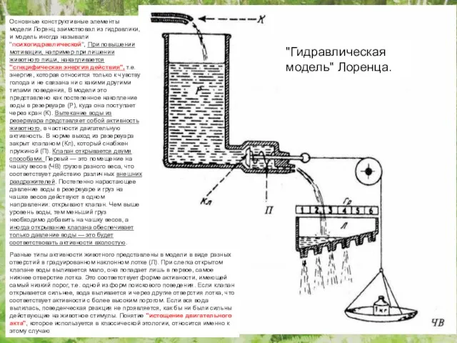 Основные конструктивные элементы модели Лоренц заимствовал из гидравлики, и модель