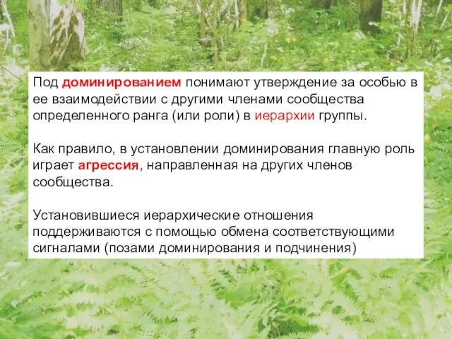 Под доминированием понимают утверждение за особью в ее взаимодействии с