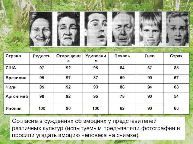 Согласие в суждениях об эмоциях у представителей различных культур (испытуемым