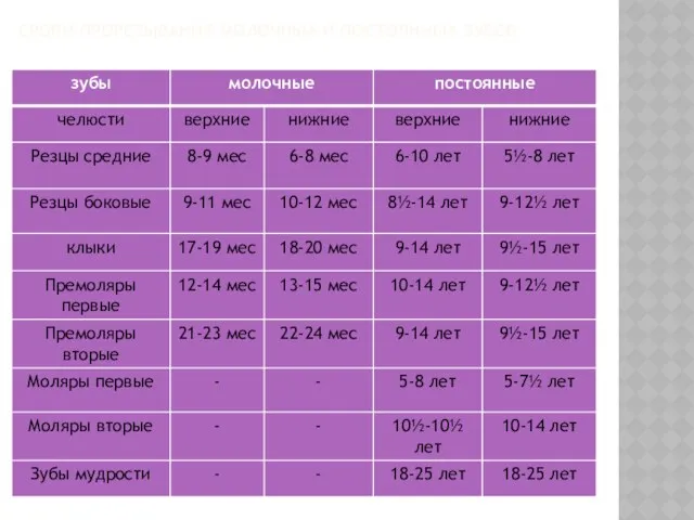 СРОКИ ПРОРЕЗЫВАНИЯ МОЛОЧНЫХ И ПОСТОЯННЫХ ЗУБОВ