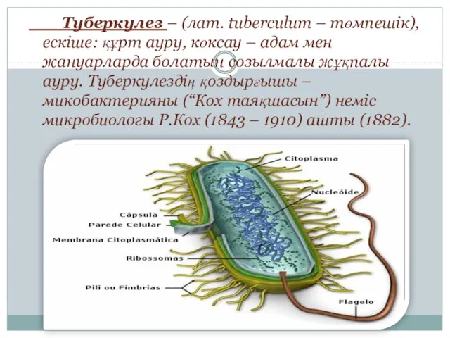 Туберкулез – (лат. tuberculum – төмпешік), ескіше: құрт ауру, көксау