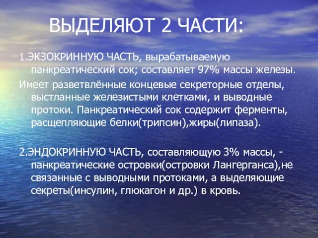 ВЫДЕЛЯЮТ 2 ЧАСТИ: 1.ЭКЗОКРИННУЮ ЧАСТЬ, вырабатываемую панкреатический сок; составляет 97%