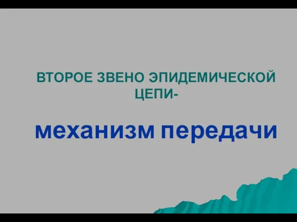 ВТОРОЕ ЗВЕНО ЭПИДЕМИЧЕСКОЙ ЦЕПИ- механизм передачи