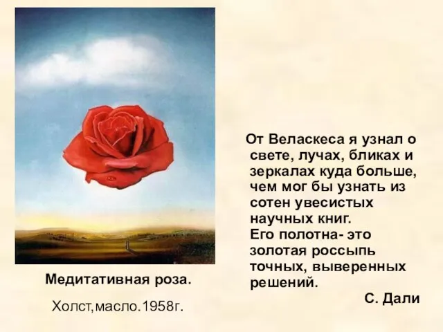 Медитативная роза. Холст,масло.1958г. От Веласкеса я узнал о свете, лучах,