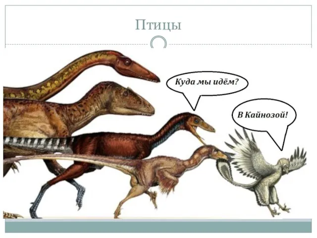 Птицы Произошли от древних Пресмы­кающихся (археопте­рикс).