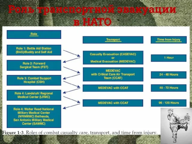 Роль транспортной эвакуации в НАТО