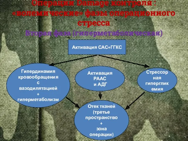 Вторая фаза (гиперметаболическая) Активация САС+ГГКС Гипердинамия кровообращения с вазодилятацией +