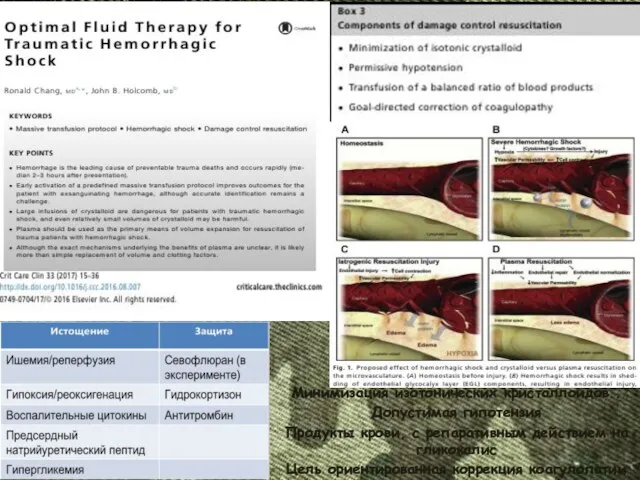 Минимизация изотонических кристаллоидов.. Допустимая гипотензия Продукты крови, с репаративным действием на гликокалис Цель ориентированная коррекция коагулопатии