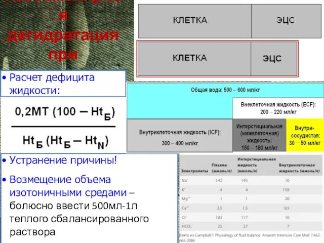 Изоосмолярная дегидратация при кровопотери Расчет дефицита жидкости: Устранение причины! Возмещение