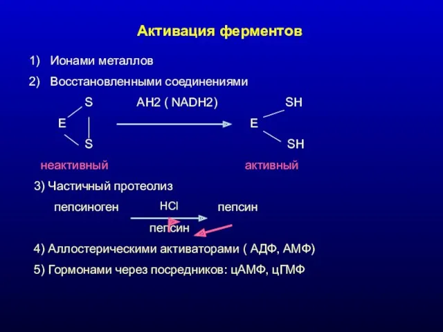 Активация ферментов Ионами металлов Восстановленными соединениями S AH2 ( NADH2) SH E E