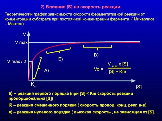 2) Влияние [S] на скорость реакции. Теоретический график зависимости скорости ферментативной реакции от