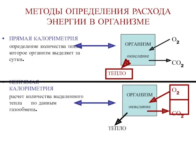 МЕТОДЫ ОПРЕДЕЛЕНИЯ РАСХОДА ЭНЕРГИИ В ОРГАНИЗМЕ ПРЯМАЯ КАЛОРИМЕТРИЯ определение количества