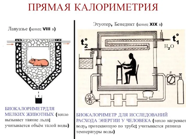 ПРЯМАЯ КАЛОРИМЕТРИЯ t1 t2 Н2О БИОКАЛОРИМЕТРДЛЯ МЕЛКИХ ЖИВОТНЫХ (тепло вызывает