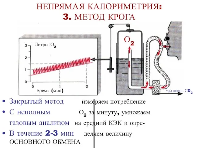 НЕПРЯМАЯ КАЛОРИМЕТРИЯ: 3. МЕТОД КРОГА Закрытый метод измеряем потребление С