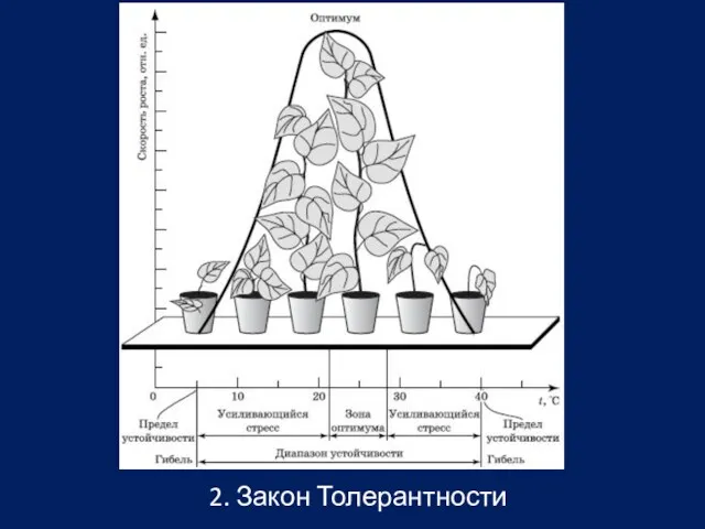 2. Закон Толерантности