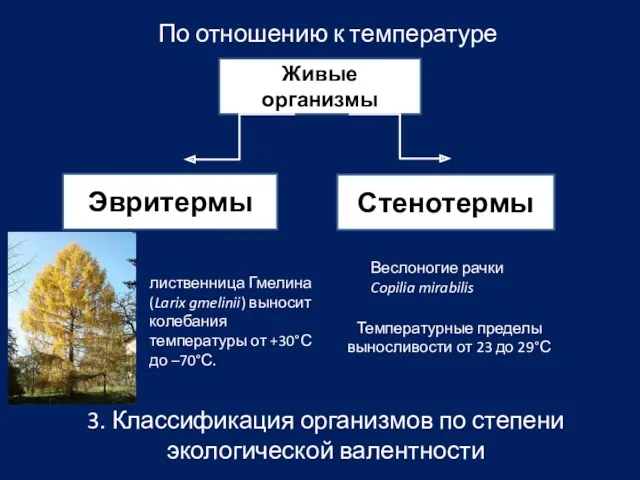 3. Классификация организмов по степени экологической валентности По отношению к