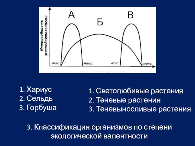 1. Хариус 2. Сельдь 3. Горбуша А Б В 3.