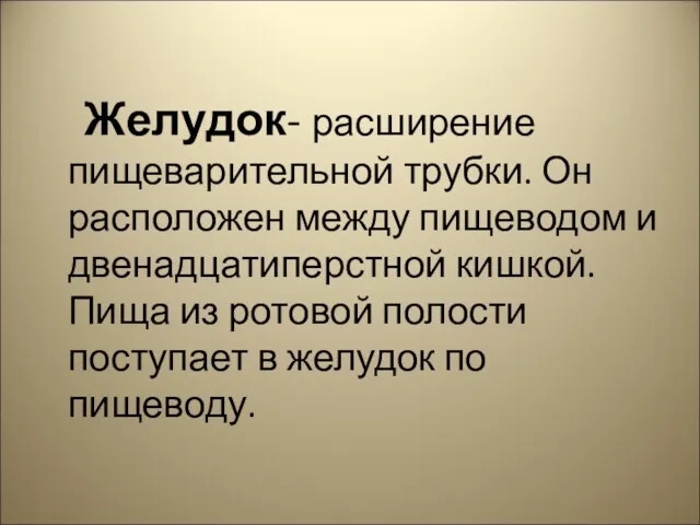 Желудок- расширение пищеварительной трубки. Он расположен между пищеводом и двенадцатиперстной