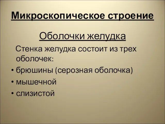 Микроскопическое строение Оболочки желудка Стенка желудка состоит из трех оболочек: брюшины (серозная оболочка) мышечной слизистой