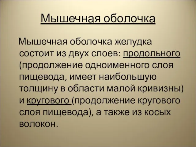 Мышечная оболочка Мышечная оболочка желудка состоит из двух слоев: продольного