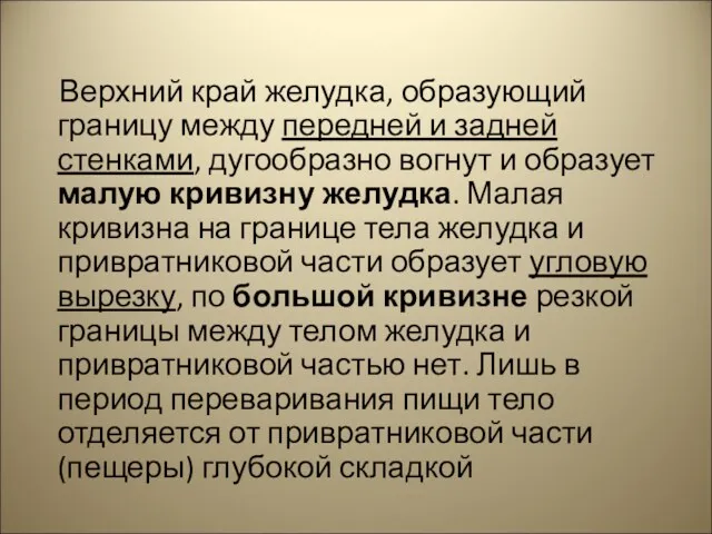 Верхний край желудка, образующий границу между передней и задней стенками,