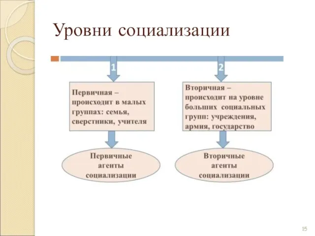 Уровни социализации