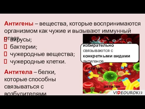 Антигены – вещества, которые воспринимаются организмом как чужие и вызывают