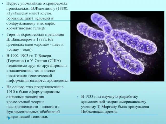 Первое упоминание о хромосомах принадлежит В.Флеммингу (1880), изучавшему митоз клеток