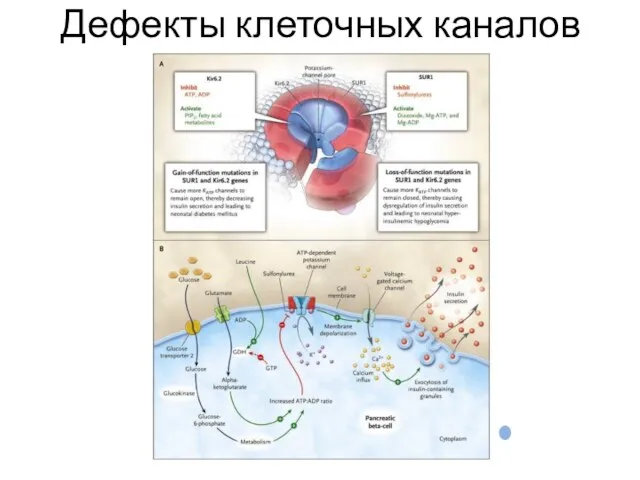 Дефекты клеточных каналов