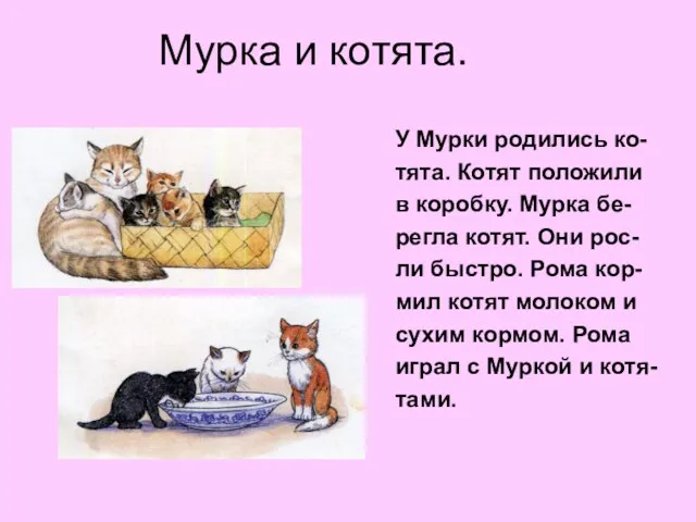 Мурка и котята. У Мурки родились ко- тята. Котят положили