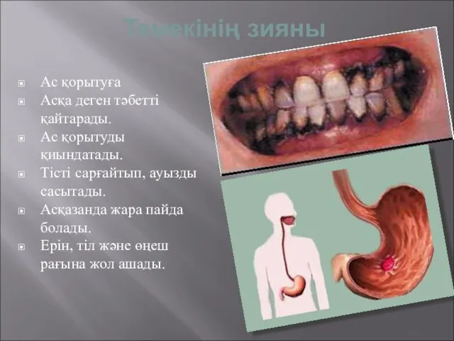 Темекінің зияны Ас қорытуға Асқа деген тәбетті қайтарады. Ас қорытуды