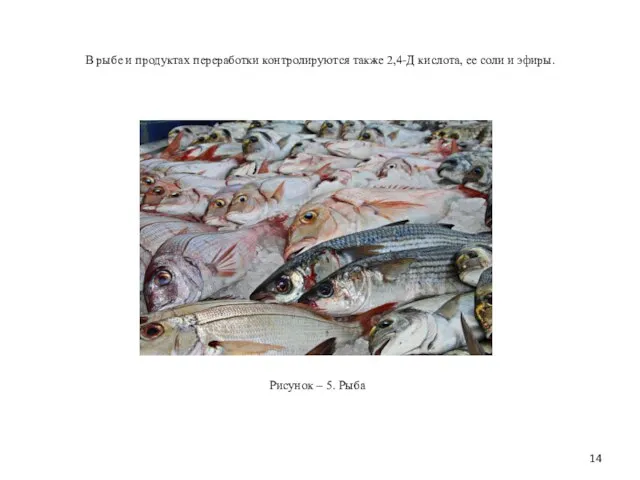 В рыбе и продуктах переработки контролируются также 2,4-Д кислота, ее