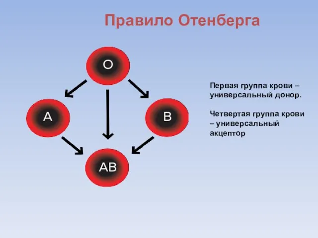 Правило Отенберга Первая группа крови – универсальный донор. Четвертая группа крови – универсальный акцептор