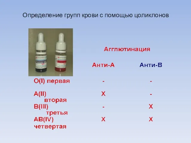 Определение групп крови с помощью цоликлонов