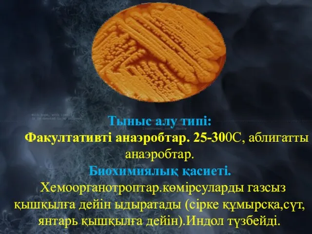 Тыныс алу типі: Факултативті анаэробтар. 25-300С, аблигатты анаэробтар. Биохимиялық қасиеті. Хемоорганотроптар.көмірсуларды газсыз қышқылға