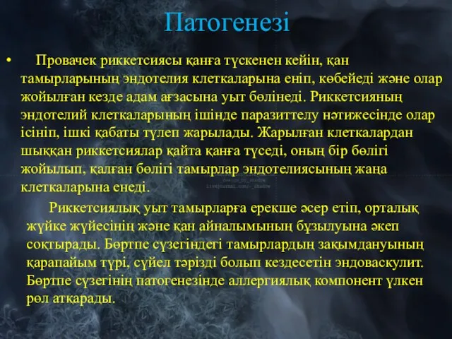 Патогенезi Провачек риккетсиясы қанға түскенен кейiн, қан тамырларының эндотелия клеткаларына енiп, көбейедi және