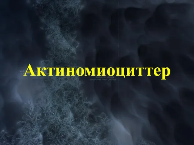 Актиномиоциттер