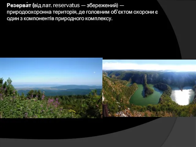 Резерва́т (від лат. reservatus — збережений) — природоохоронна територія, де головним об'єктом охорони