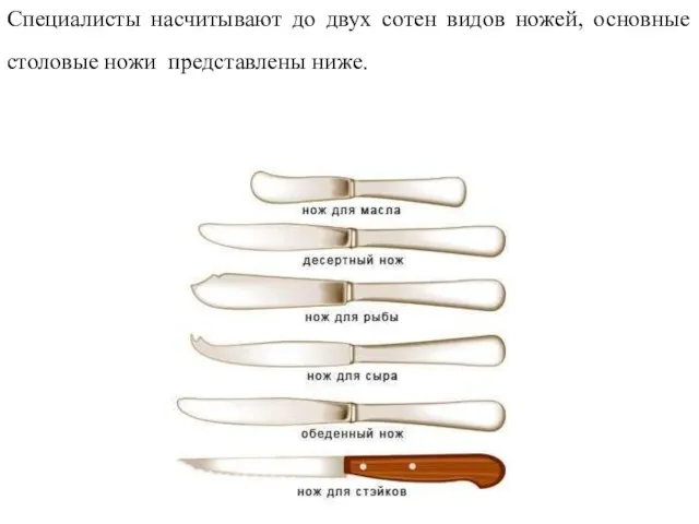 Специалисты насчитывают до двух сотен видов ножей, основные столовые ножи представлены ниже.