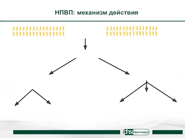 НПВП: механизм действия