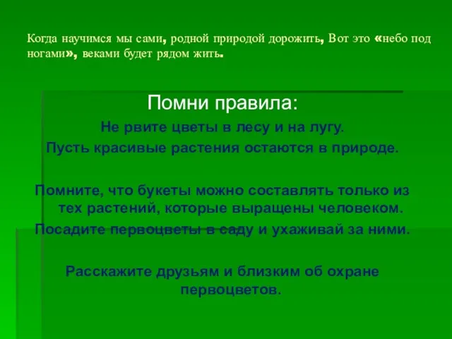 Когда научимся мы сами, родной природой дорожить, Вот это «небо