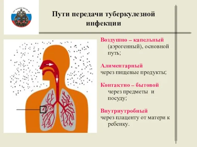 Пути передачи туберкулезной инфекции Воздушно – капельный (аэрогенный), основной путь;